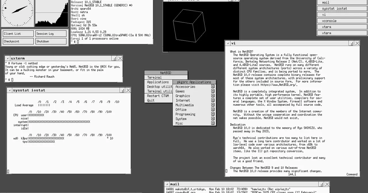 Default CTWM desktop of NetBSD 10.1 running on an UltraSPARC workstation with several base applications open