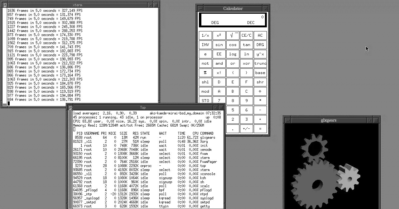 OpenBSD desktop running the FVWM window manager